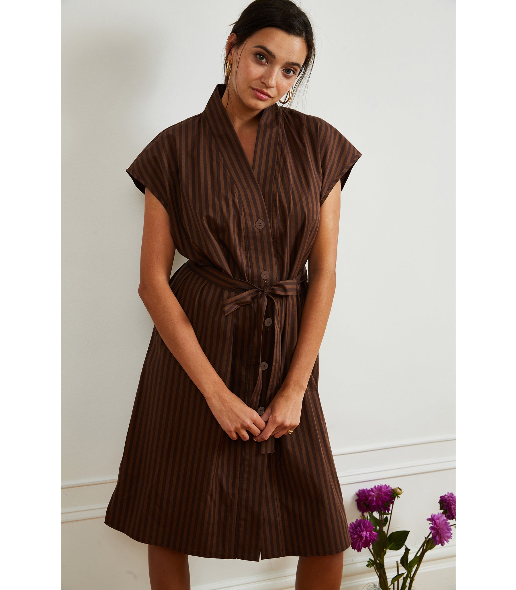 Tina Short Sleeved Shirt Dress - Brown Stripe